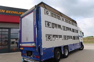 DAF XF 105 2012 - XF 105-460 - 2012 - 2-3 floors, Pigs transport zdjecie 45