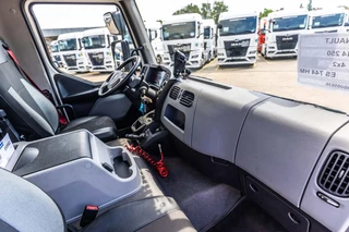 Renault N/A 2017 - D14 250 + DHOLLANDIA obrazek 22