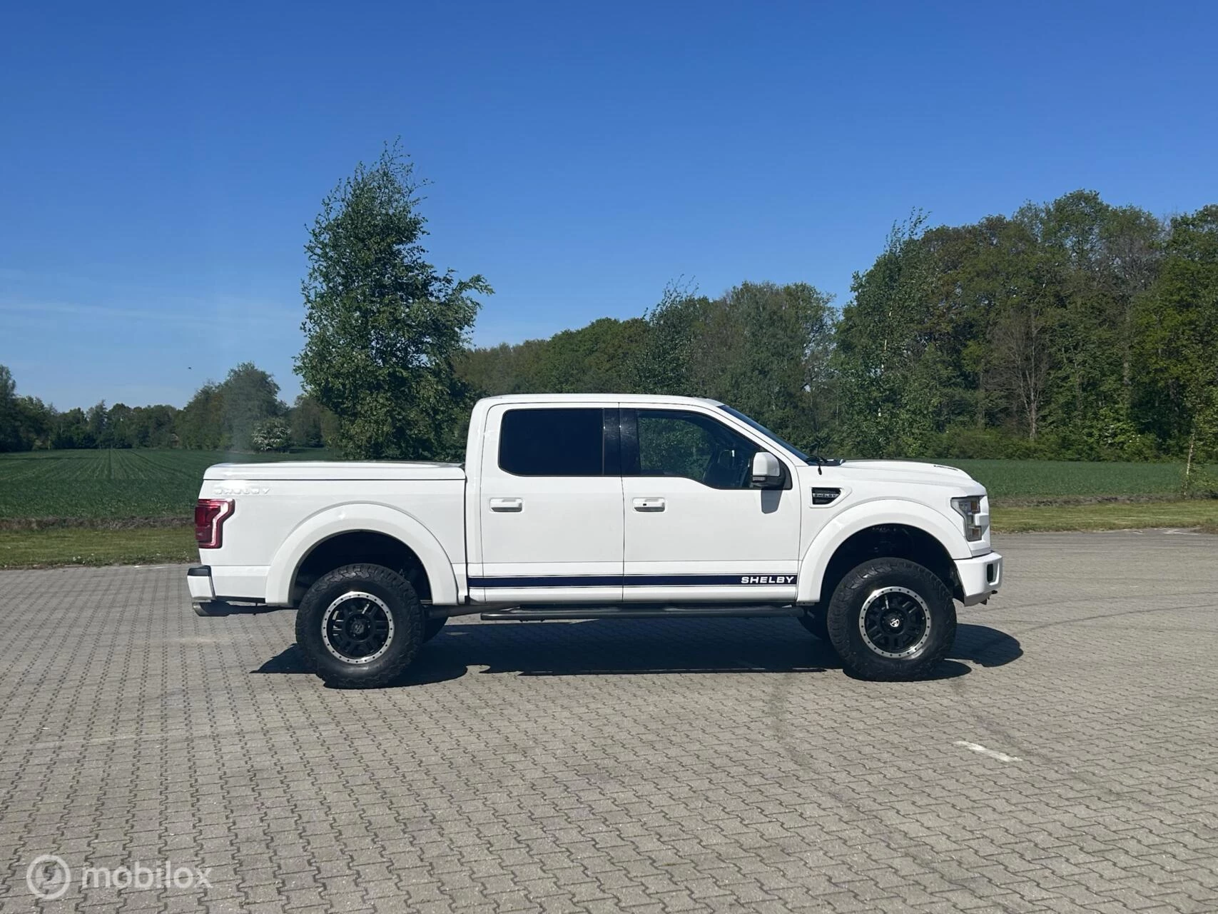 Ford F-150 2016 - USA Shelby zdjęcie 2