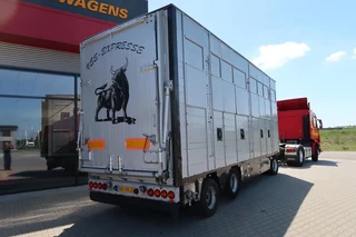 Pezzaioli N/A 2002 - RBA 31 - Cattle transport obrazek 4