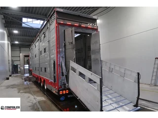 Pezzaioli 2015 - SBA 31 te koop