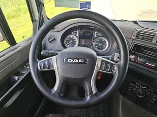 DAF N/A 2019 - CF 450 obrazek 10