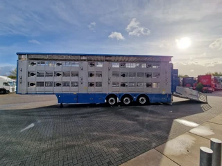 Pezzaioli N/A 2026 - New 3 stock livestock trailer 95.4M2 - Water & Ventilation - Lifting floors - Lifting roof - Lift axle immagine 49