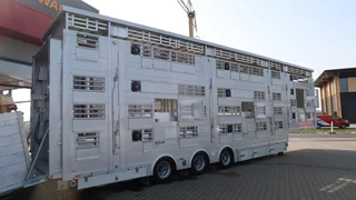 Pezzaioli N/A 2026 - SBA 31 U - NEW - Michelin tires afbeelding 9