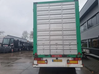 CUPPERS N/A 2024 - 3 as zdjecie 5