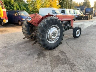 Massey Ferguson N/A 1980 - 65 / ebro obrazek 2