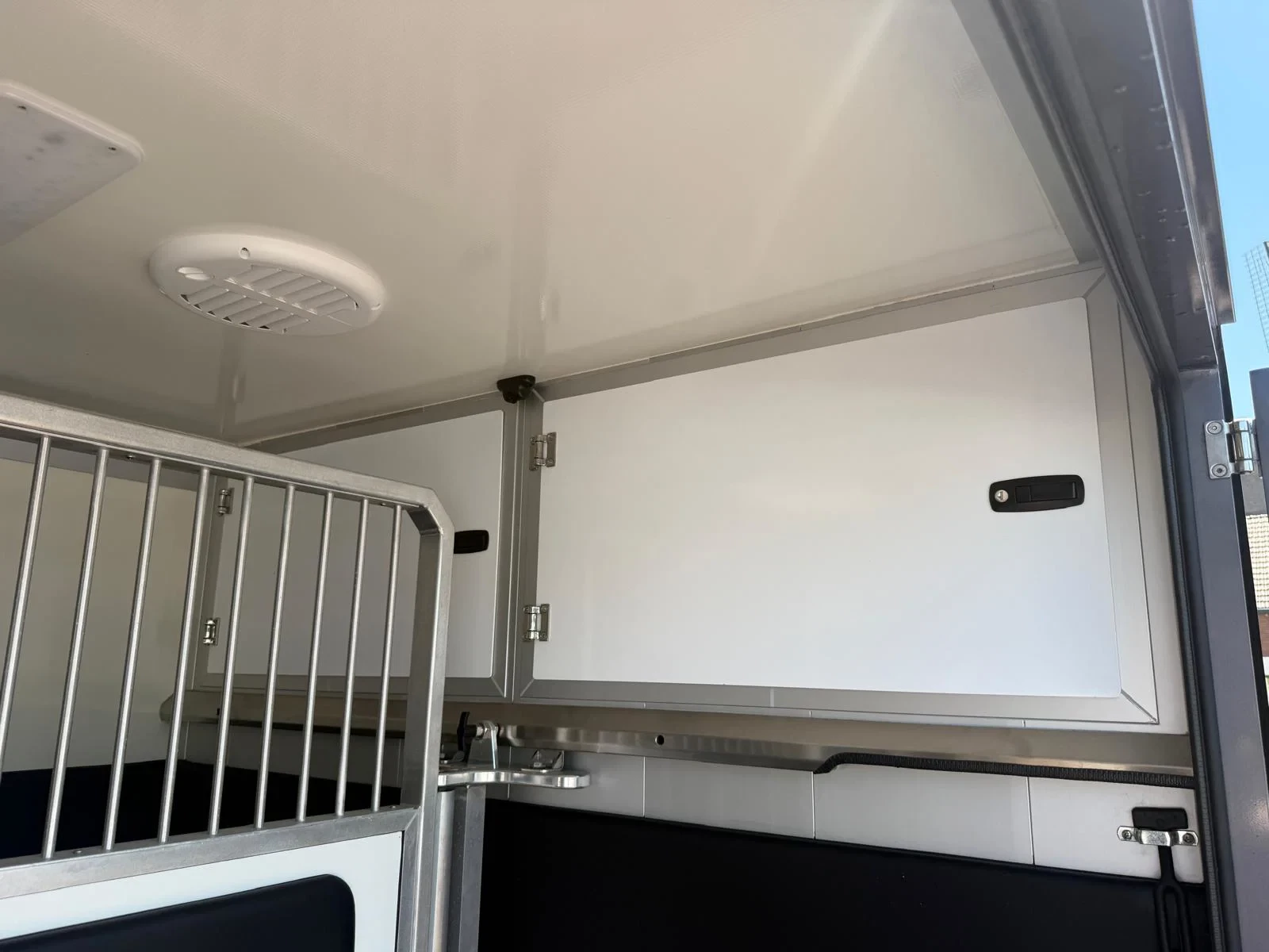 Renault Master 2021 - STX S3 Paardenwagen Hengsten uitvoering Automaat N1 image 16