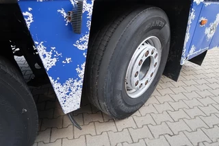 DAF XF 105 2012 - XF 105-460 - 2012 - 2-3 floors, Pigs transport image 32