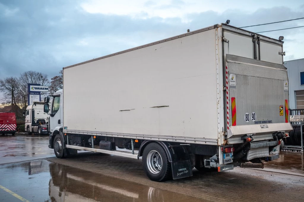 Renault 2013 - PREMIUM 300DXI+POUSSIN/CHICKEN/KUIKEN/KÛKEN+DHOLLANDIA zdjęcie 4