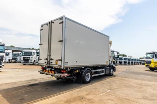 Renault N/A 2017 - D14 250 + DHOLLANDIA obrazek 5