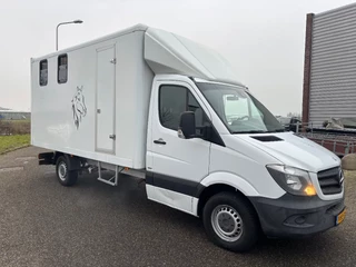 Mercedes-Benz Sprinter 2014 - 316CDI Paardenwagen/schapen pony's/ en klein vee /Veewagen Airco Cruisecontrol Trekhaak immagine 3