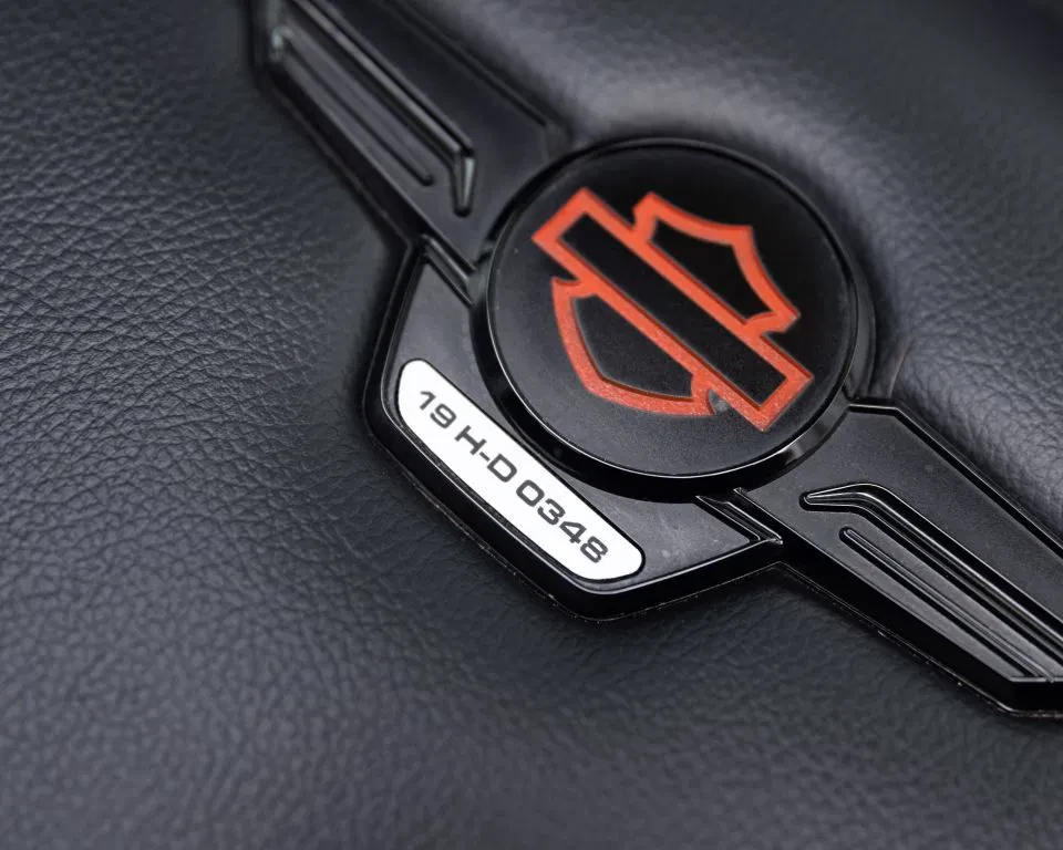 Ford F-150 2019 - (USA) Harley Davidson V8 5.0L Tuscany Motor Co. afbeelding 25