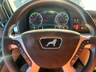 MAN TGX 2017 - 18.420 TGX 18.420 4x2 ADR (EX/II, EX/III, FL, AT) imagen 17