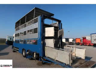 CUPPERS N/A - Cuppers veebak - Cuppers box for sows and pigs image 1