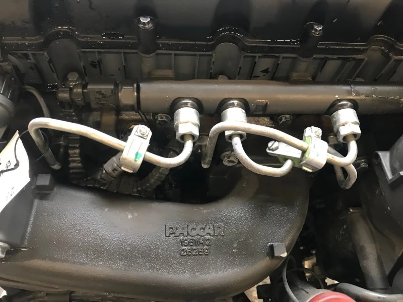 DAF 2014 - MX-11 291 H1 immagine 11
