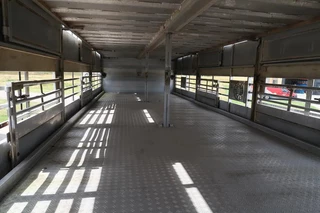 DAF XF 105 2012 - XF 105-460 - 2012 - 2-3 floors, Pigs transport zdjecie 41