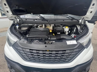 Iveco Daily 2020 - N/A afbeelding 19