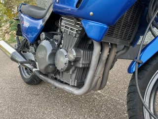 Triumph N/A 1996 - SPRINT 900 image 8