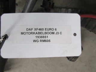 DAF XF 460 - 1938851 MOTORKABELBOOM J3 C EURO 6 afbeelding 3 miniatuur