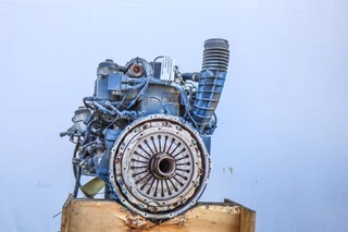 MAN N/A 2019 - D0836LFLAO EURO6D 290PS zdjecie 2