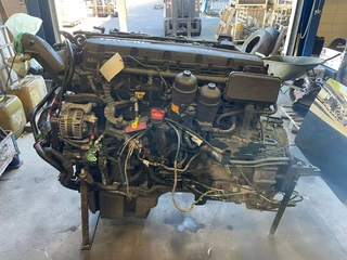 DAF N/A 2022 - 0452219 MX-13 355 H5 immagine 2