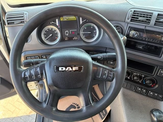 DAF CF 290 2014 - N/A immagine 22