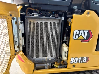 Cat N/A 2021 - 301.8 obrazek 16