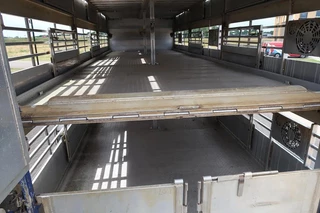 DAF XF 105 2012 - XF 105-460 - 2012 - 2-3 floors, Pigs transport zdjecie 42