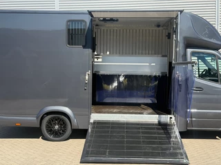 Mercedes-Benz Sprinter 2020 - 314CDI Paardenwagen Horsetruck TVW Hengsten Uitvoering L3 Automaat Airco obrazek 24