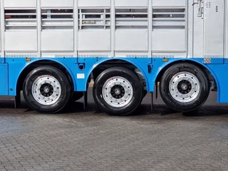 Pezzaioli N/A 2026 - New 3 stock livestock trailer 95.4M2 - Water & Ventilation - Lifting floors - Lifting roof - Lift axle immagine 19