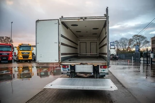 Renault N/A 2013 - PREMIUM 300DXI+POUSSIN/CHICKEN/KUIKEN/KÛKEN+DHOLLANDIA imagen 5