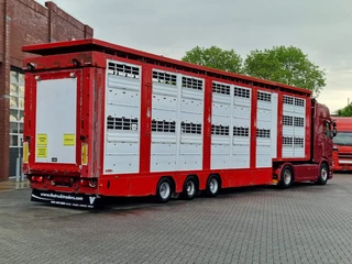 Finkl N/A 2008 - SAV35 - 3 deck Livestock - Water & Ventilation - Lifting Floors - Lifting roof image 52