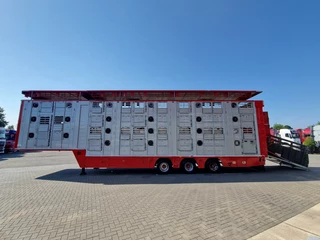 Finkl N/A 2009 - SAV35 - 3/3 deck livestock - Ventilation - Lifting floors - Lifting roof obrazek 5