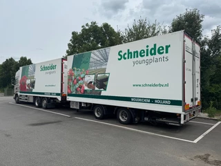 Scania R 2011 - R440 6x2*4 topline flowercombination obrazek 3