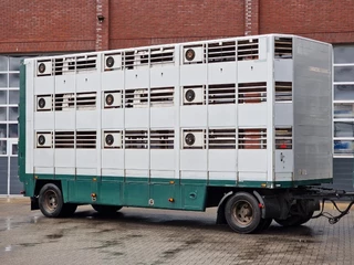 DAF XF 440 2015 - SuperSpaceCab 6x2*4 - Cuppers 1-2-3 deck Livestock + Cuppers 3 deck trailer 2009 obrazek 76