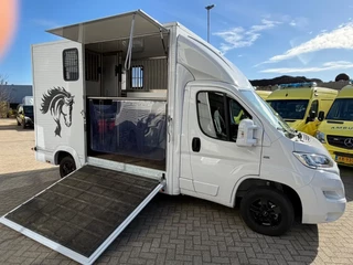Opel Movano 2023 - Paardenwagen/Veewagen Hengsten Uitvoering Airco Cruisecontrol NIEUW image 1