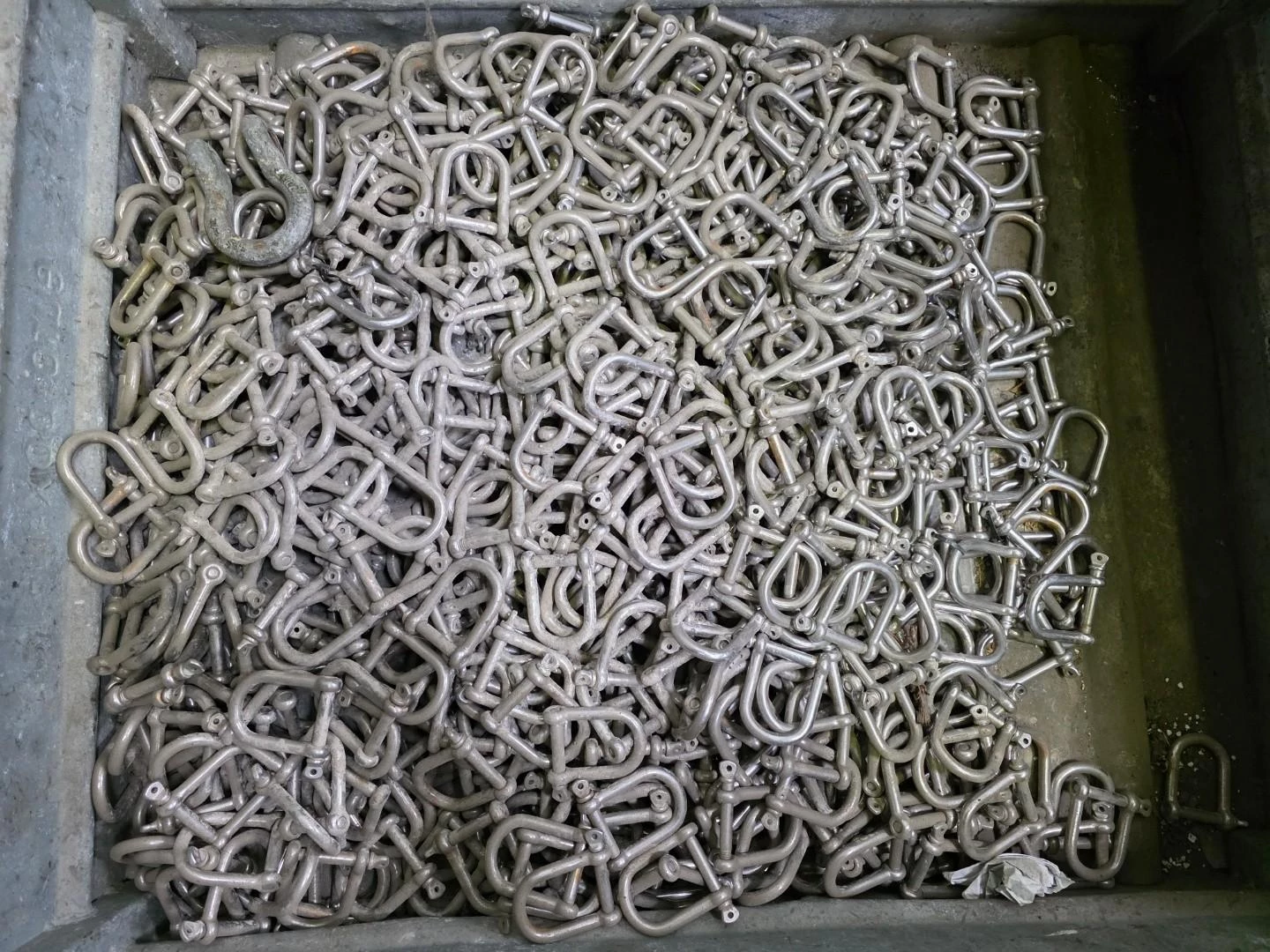 D-shackles Shackles immagine 2