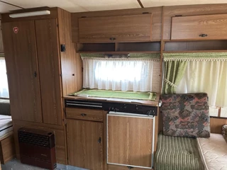 Munsterland 550 1980 - Luxus immagine 9