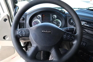 DAF XF 105 2012 - XF 105-460 - 2012 - 2-3 floors, Pigs transport zdjecie 8