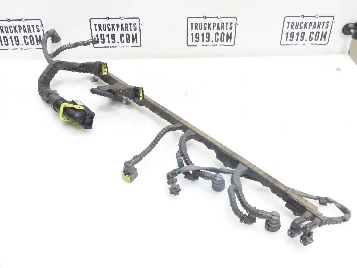 DAF - Electrical System Motorkabelboom J1 A DAF MX13 afbeelding 1