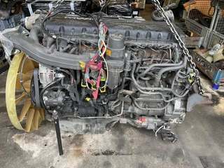 DAF N/A 2018 - MX-11 300 H2 immagine 1