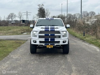 Ford F-150 2016 - USA Shelby obrazek 31