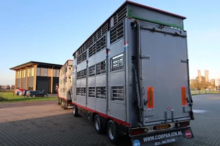 Pezzaioli N/A 2005 - RBA 31 - 2005 obrazek 6