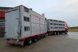 Pezzaioli N/A 2005 - RBA 31 - 2005 obrazek 28