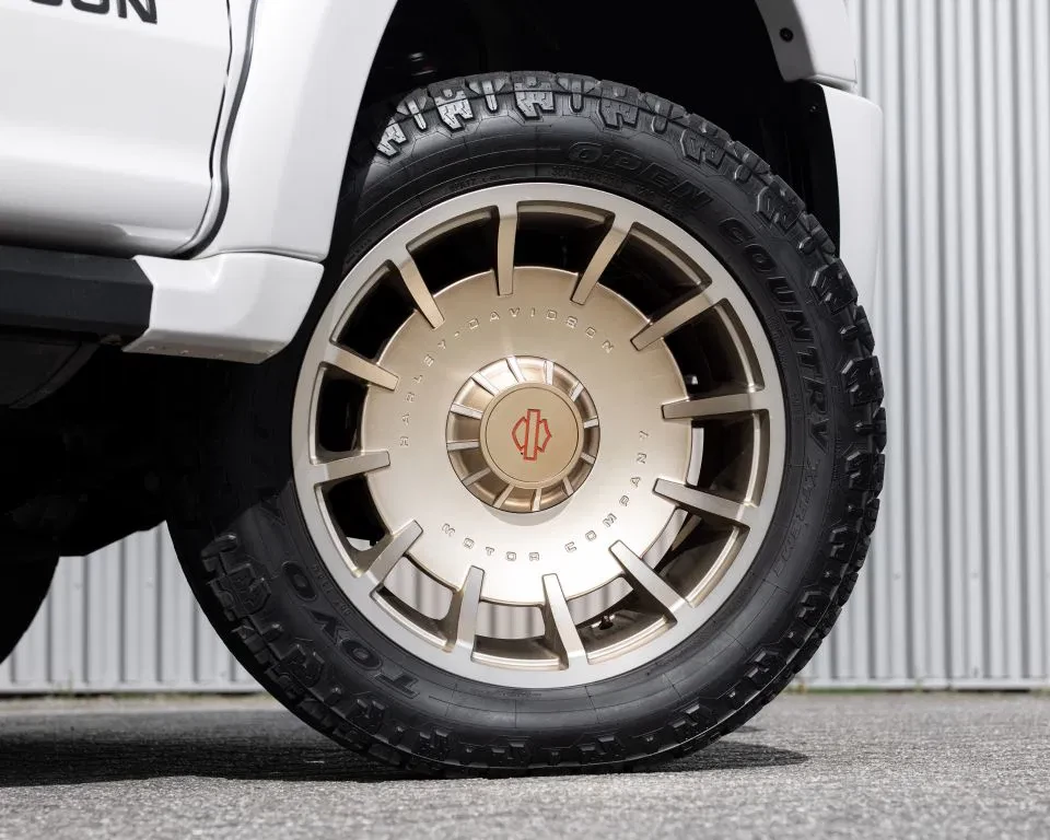 Ford F-150 2019 - (USA) Harley Davidson V8 5.0L Tuscany Motor Co. afbeelding 37