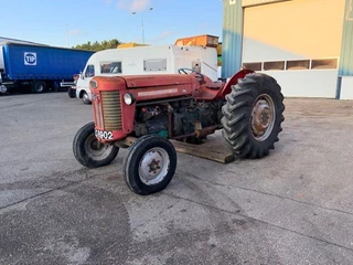 Massey Ferguson N/A 1980 - 65 / ebro obrazek 1