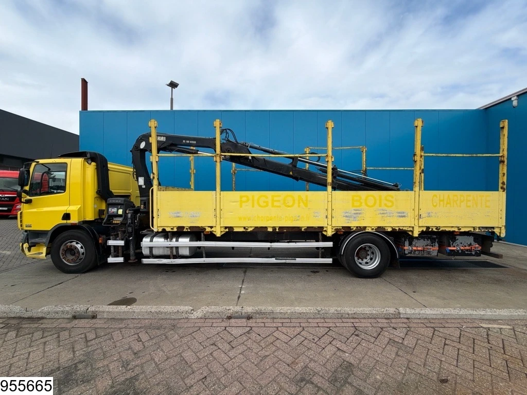 DAF 2012 - CF 300 EURO 5, HIAB, Remote, Manual afbeelding 17