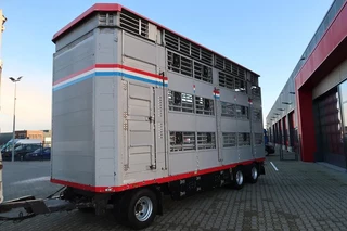 Pezzaioli N/A 2005 - RBA 31 - 2005 obrazek 2