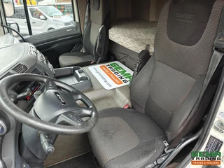 DAF CF 440 2015 - FT immagine 10