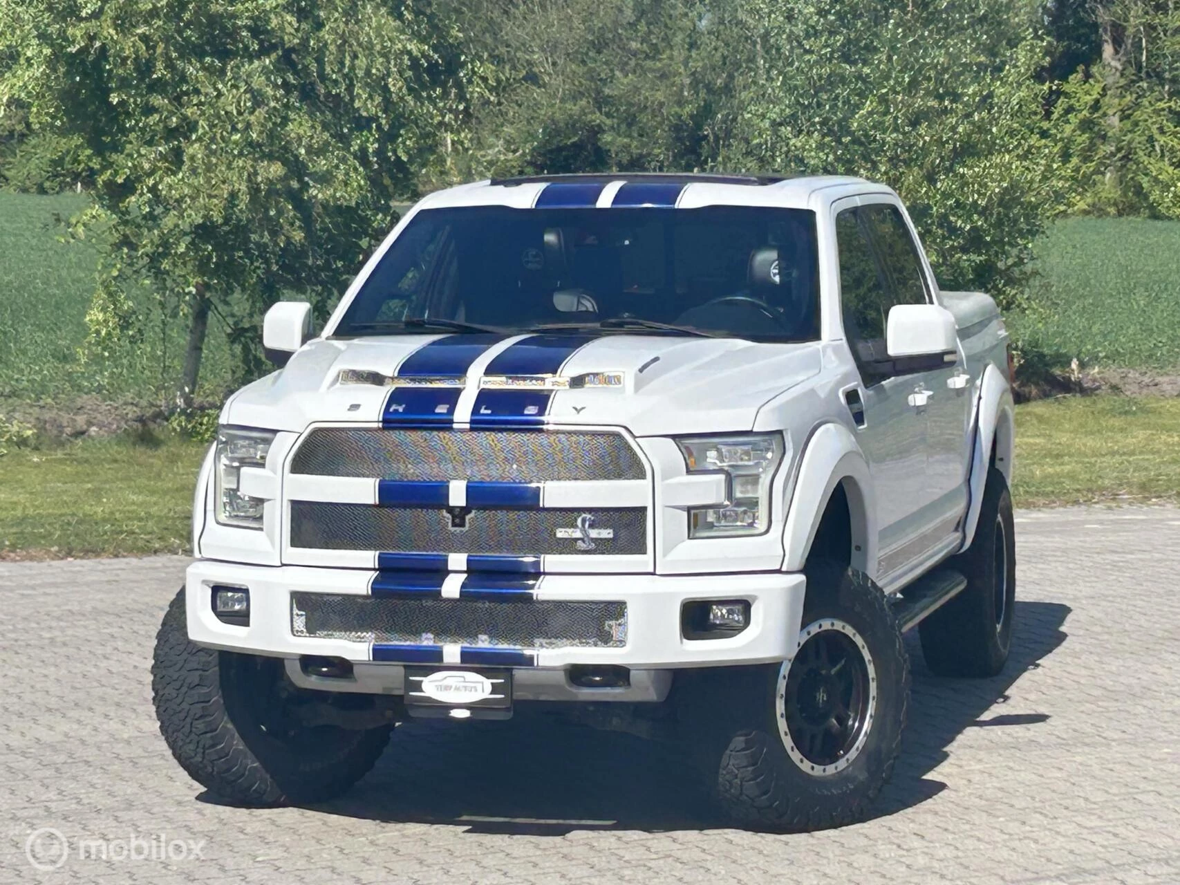 Ford F-150 2016 - USA Shelby zdjęcie 10